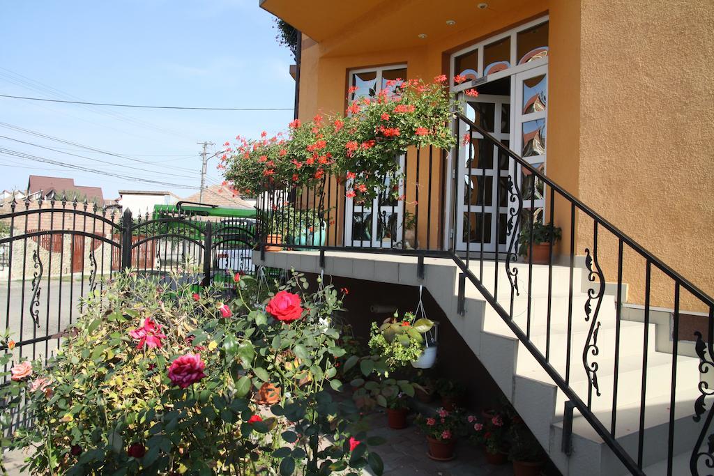 Pensiunea Amso Sibiu Exterior photo